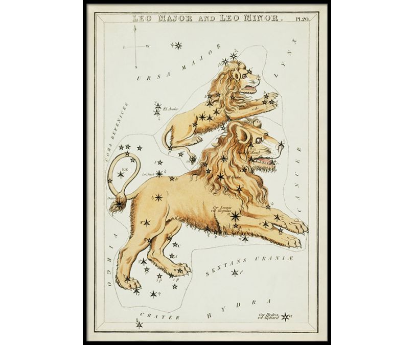 Plakat znaki zodiaku retro - Lew