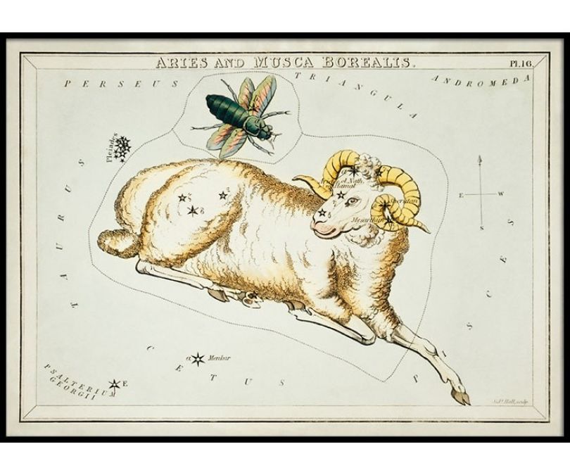 Plakat znaki zodiaku retro - Baran