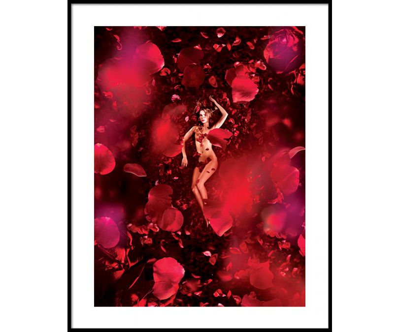 Plakat Róża 30x40 cm